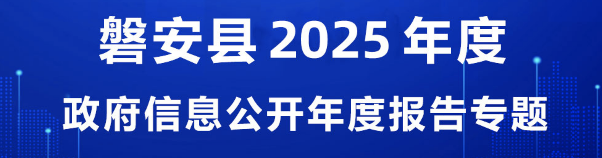2025年政府年度報告